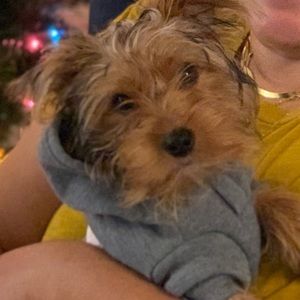 Meet your Posher, Ellianys